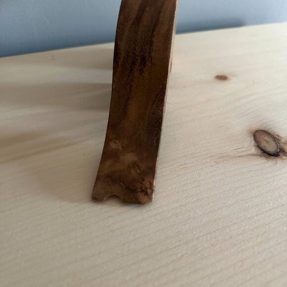 Dinosaur Skeleton Fossil Wooden Shelf Decoration - Picture 4 of 7